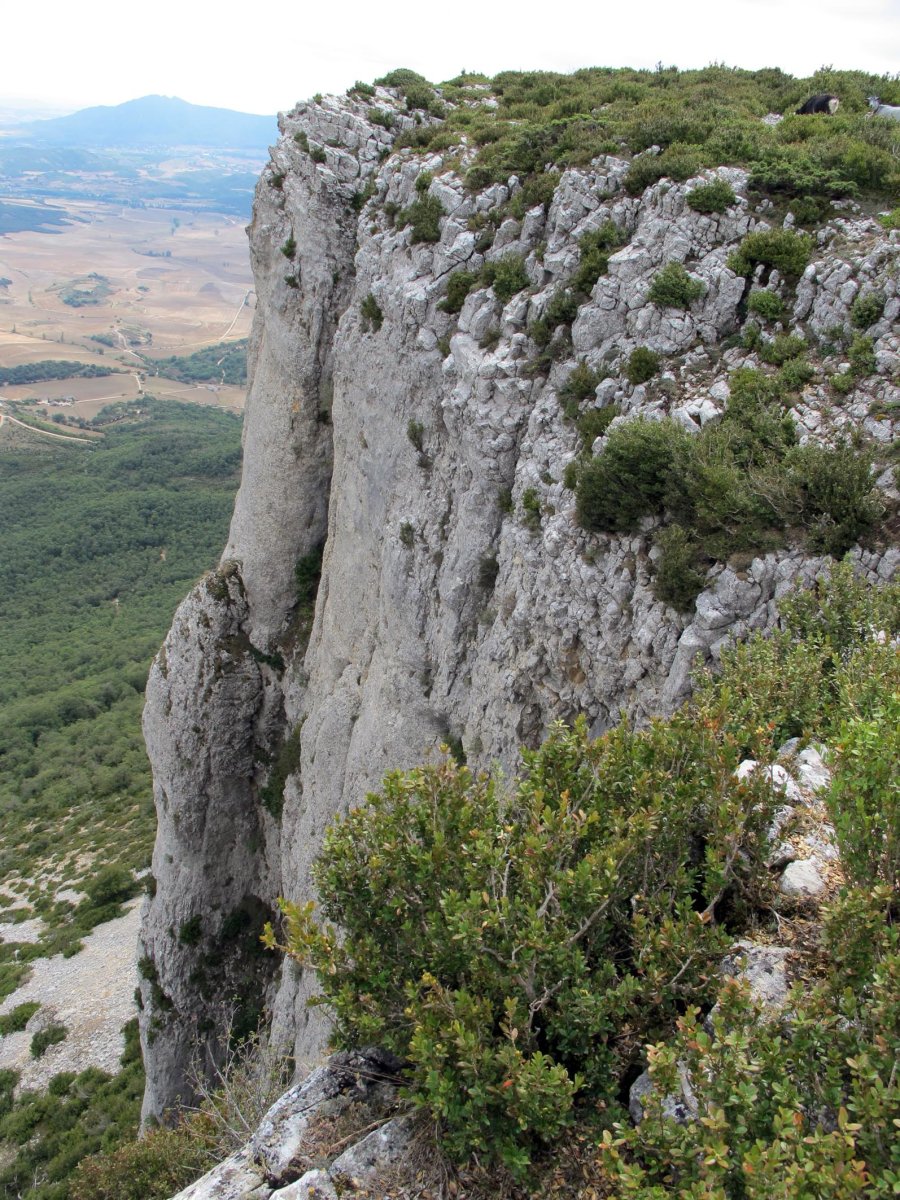 Aramendia mendatetik ikusita
