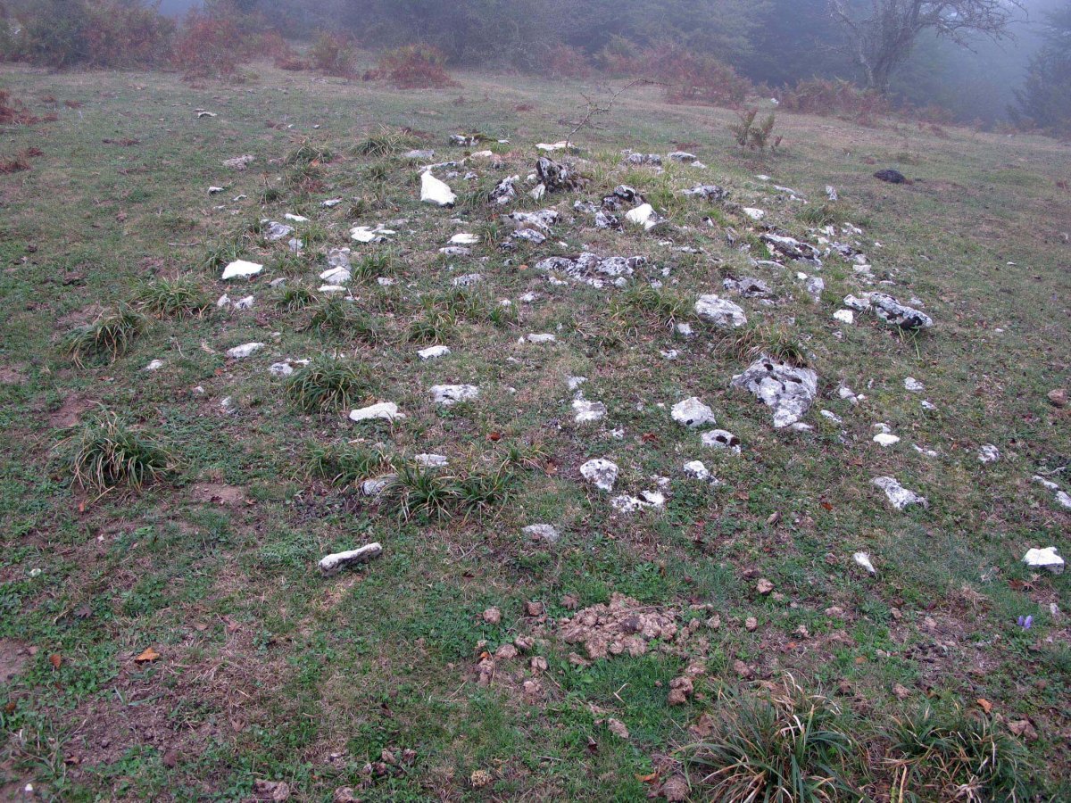 Siasmuno 1-go tumulua