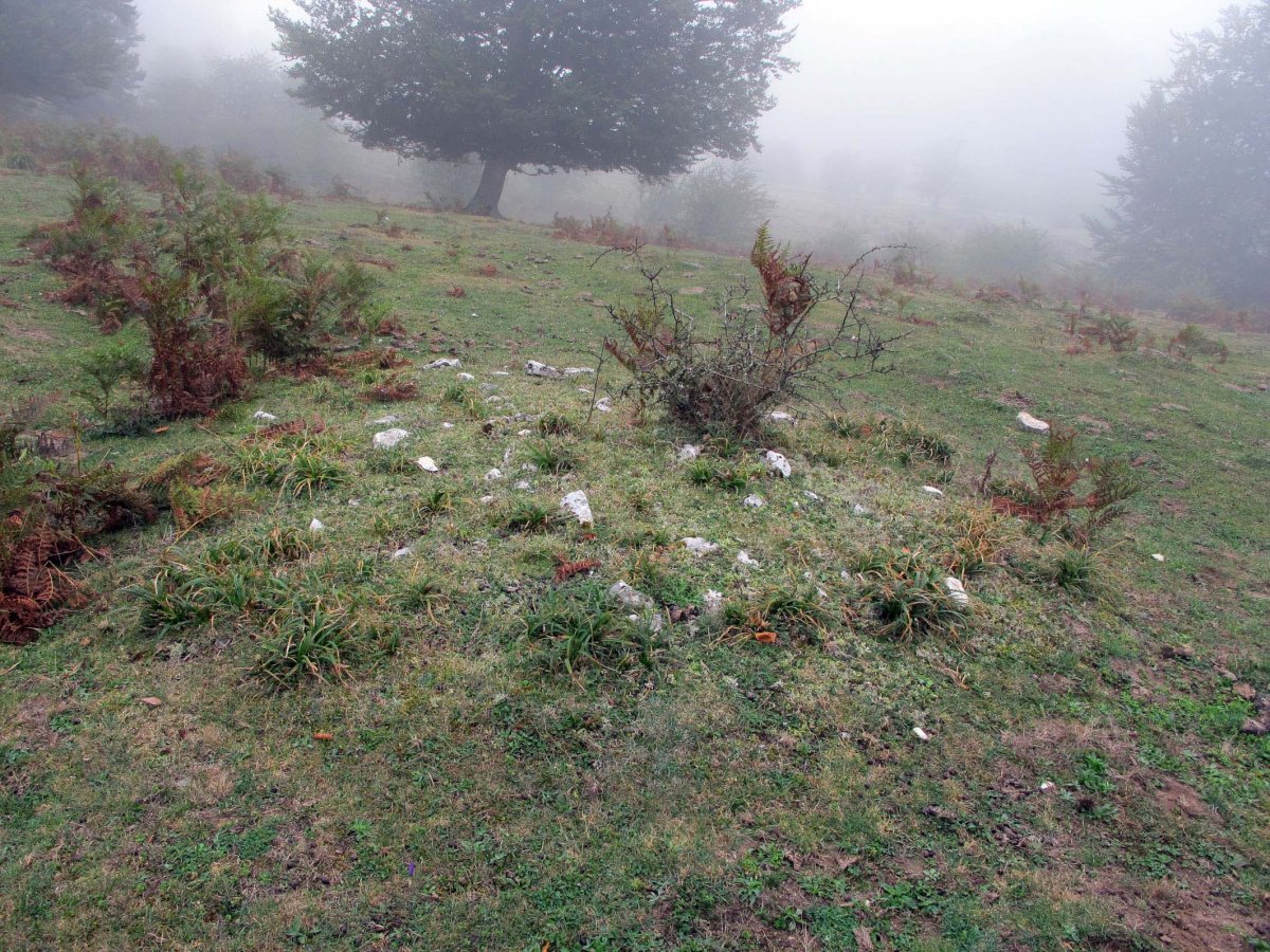 Siasmuno 2-go tumulua