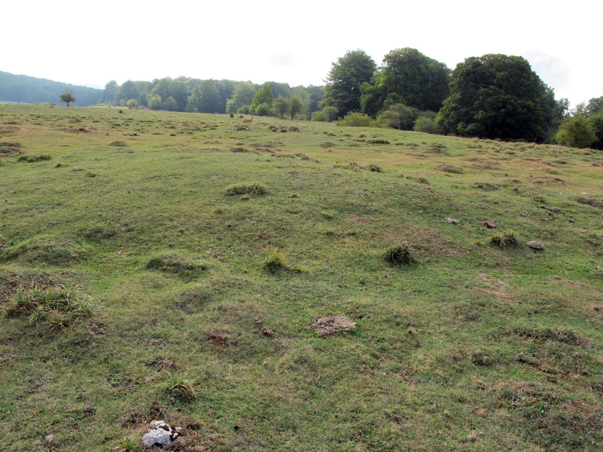 EZKIZA 1 ekialde tumulua