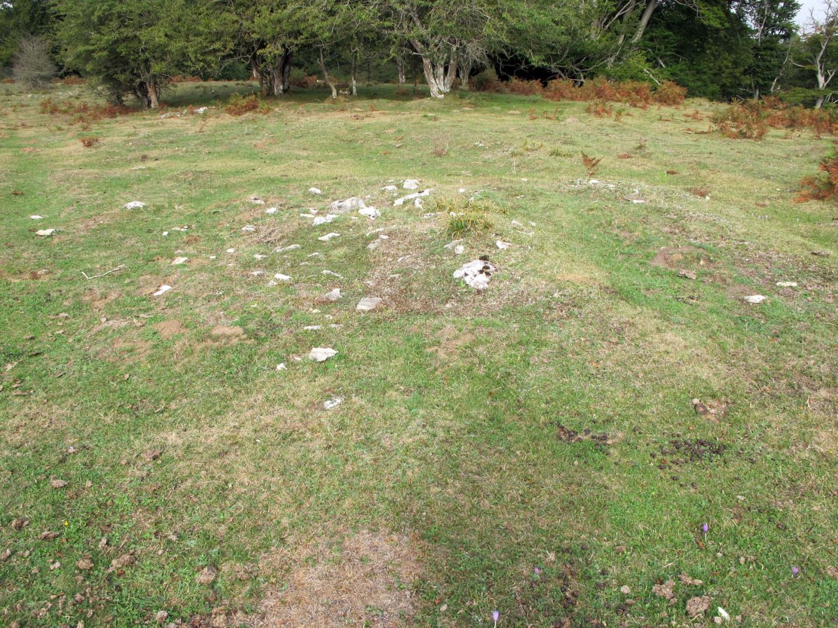 SIASGAIN 3-garren tumulua