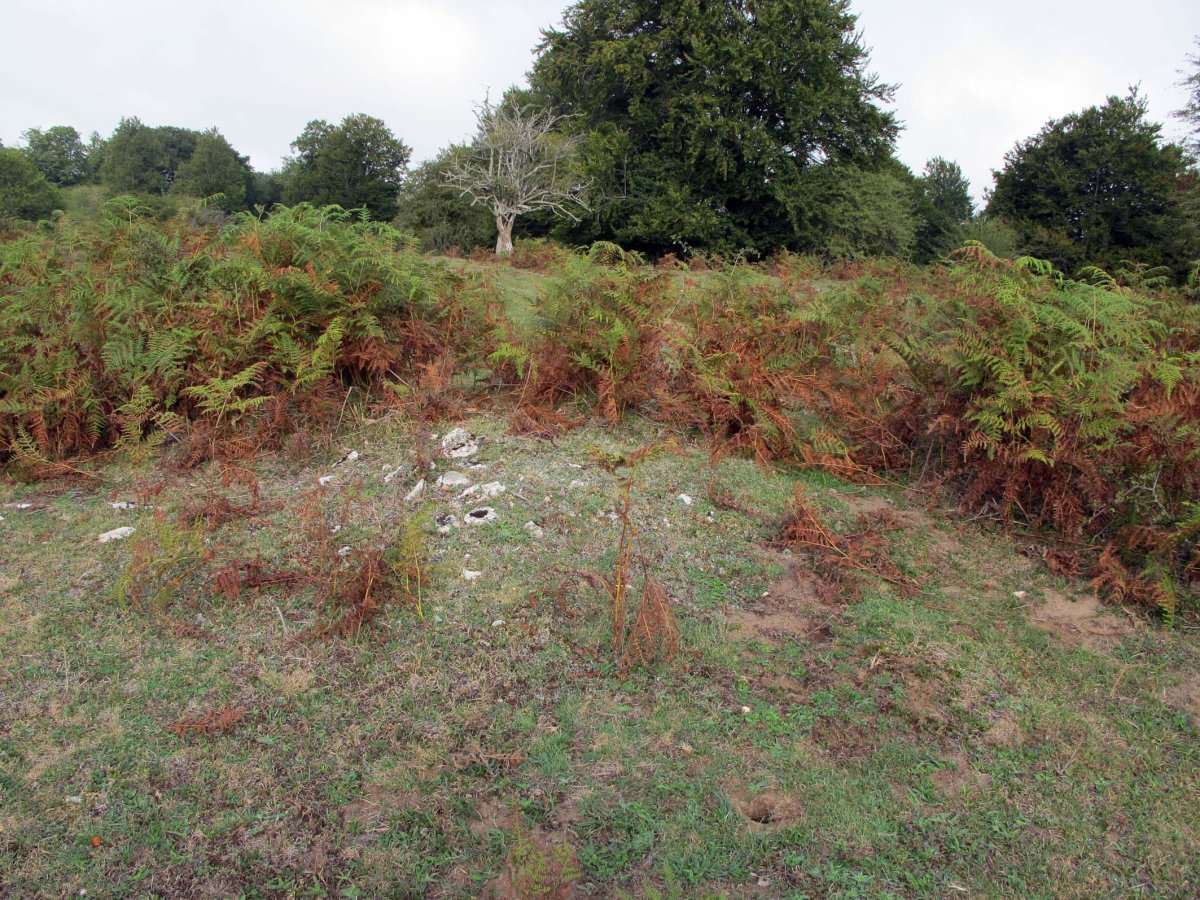 SIASGAIN 4-garren tumulua