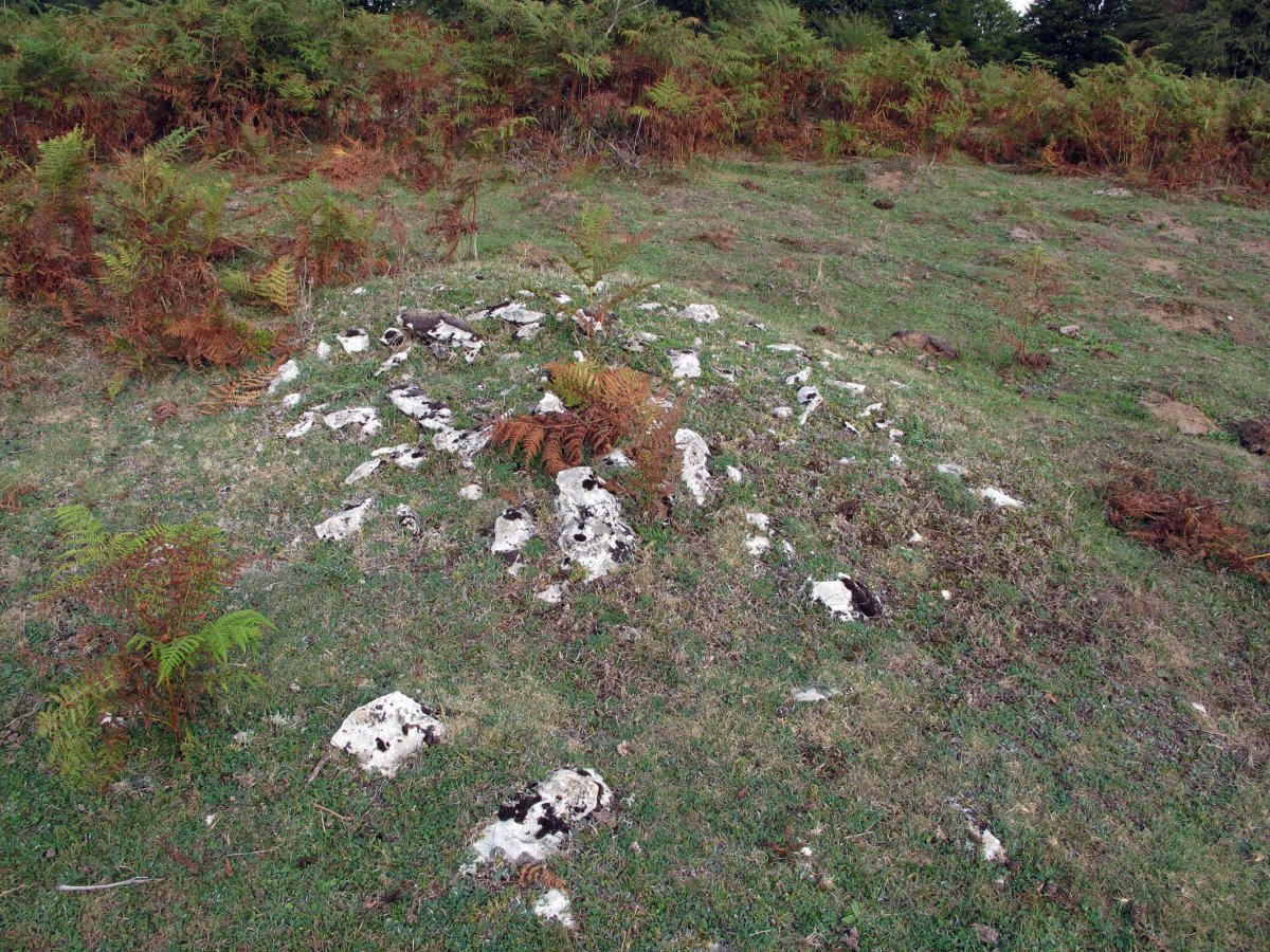 SIASGAIN 5-garren tumulua