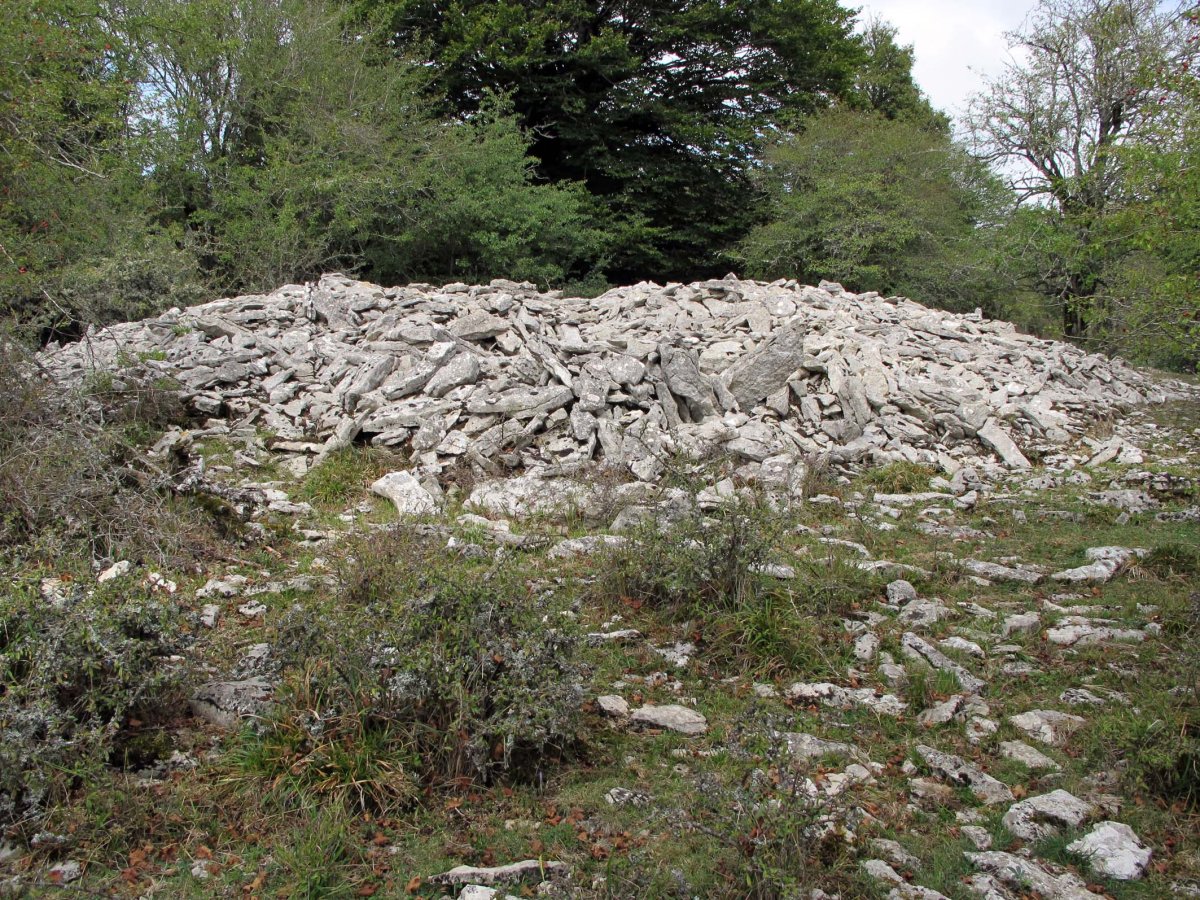 ARMORKORA TXIKIA trikuharria