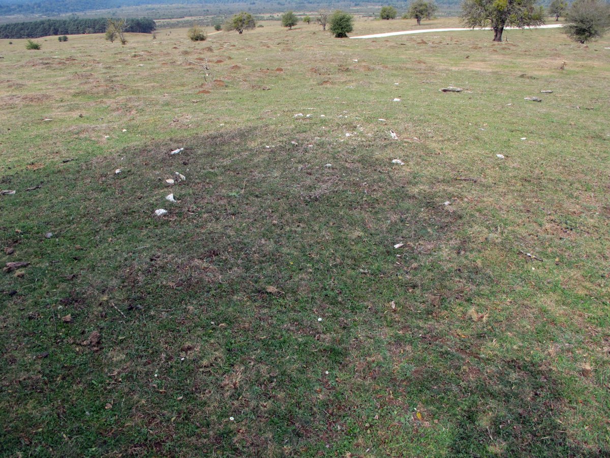 ARTEKOSAROKO BIDEA mendebalde etxola hondoa