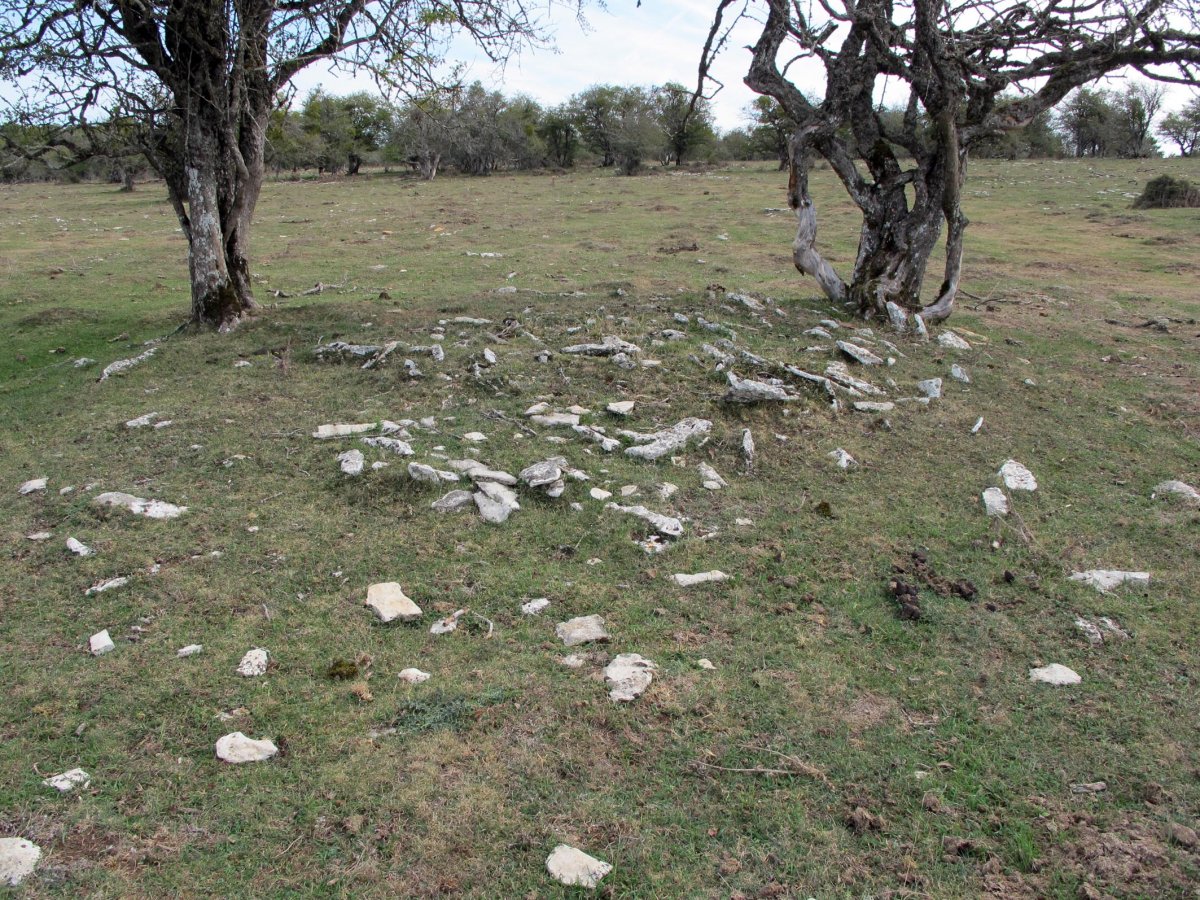 PEDROTXIKI 2 tumulua