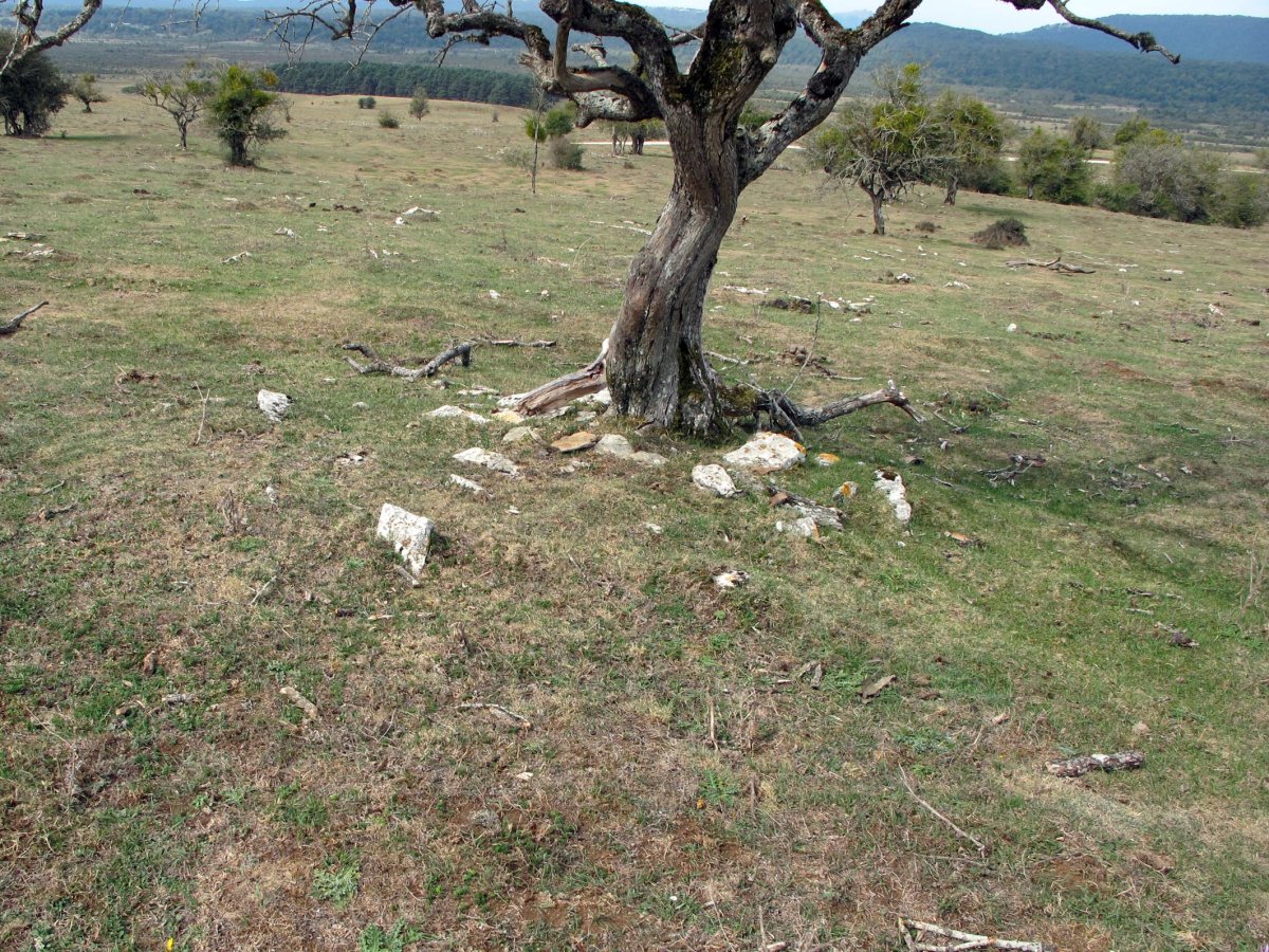 PEDROTXIKI 3 tumulua