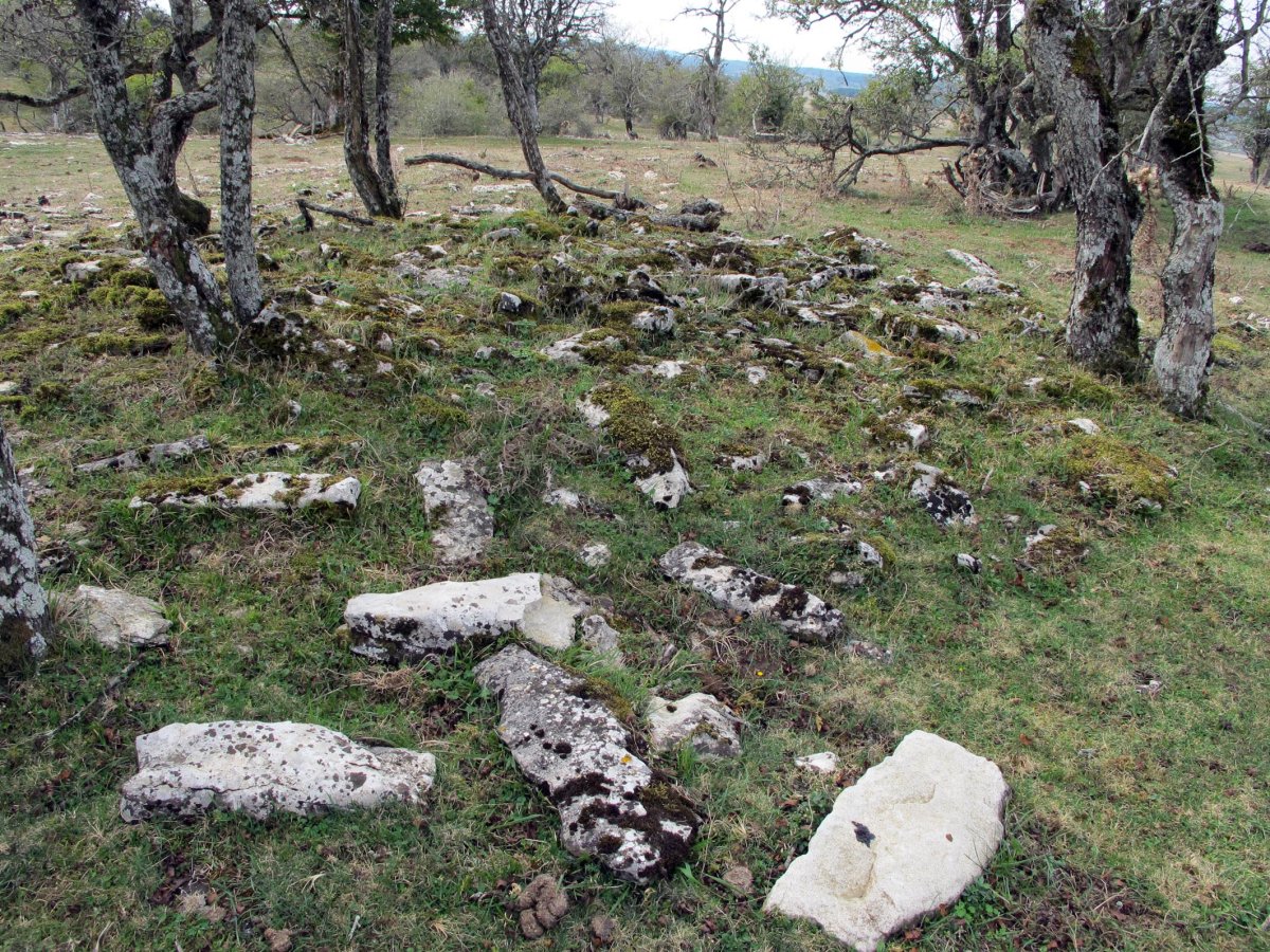 ARTEKOSAROKO BIDEA tumulua