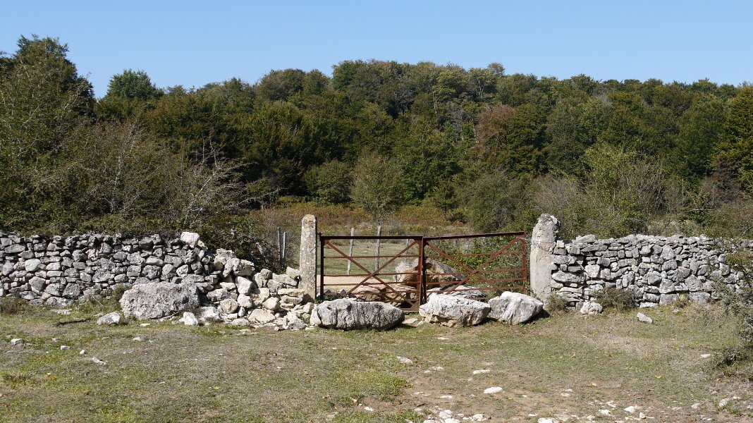 14: Araba eta Nafarroa arteko mugako ataka