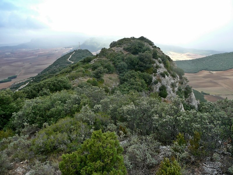 Ekialdeko Tontorretik