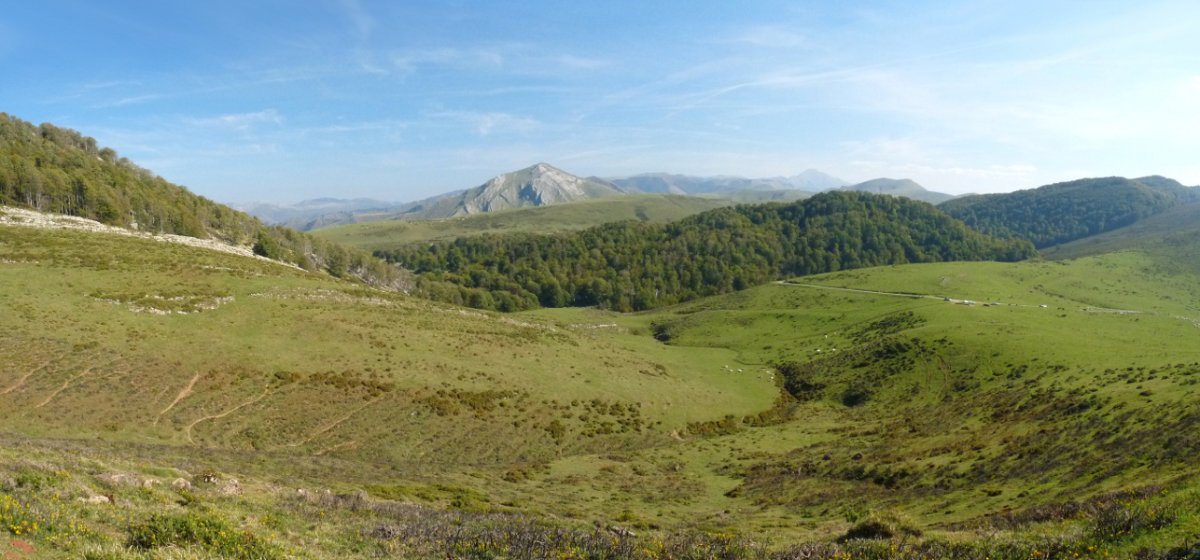 Organbideko lepoa, Erroitzate atzean