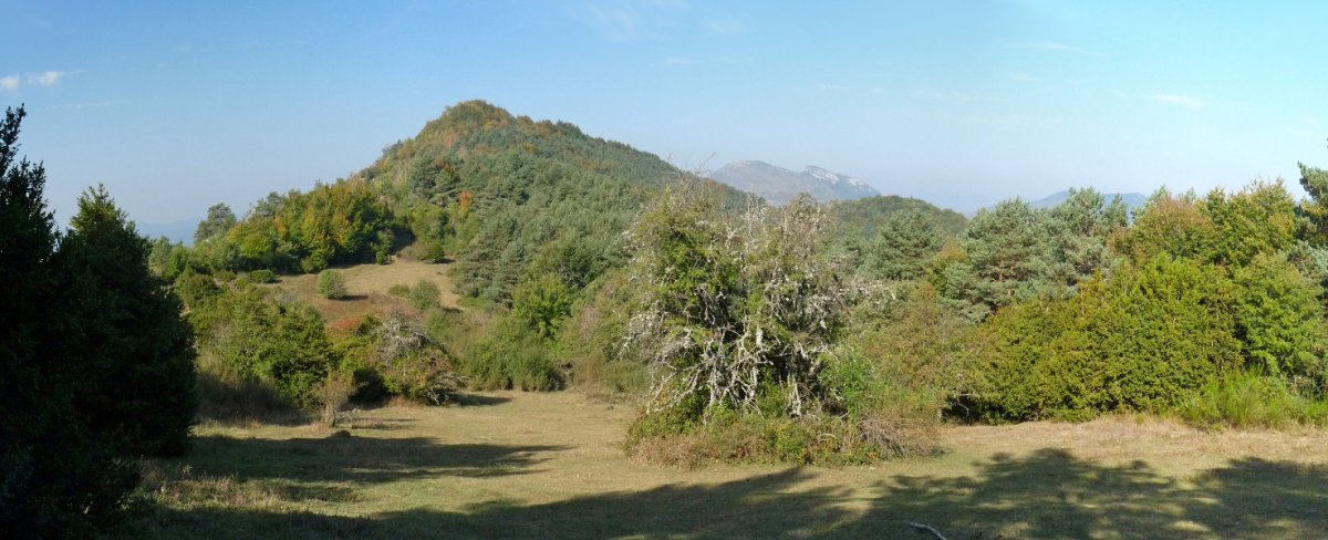 Baxako gailur oihantsua