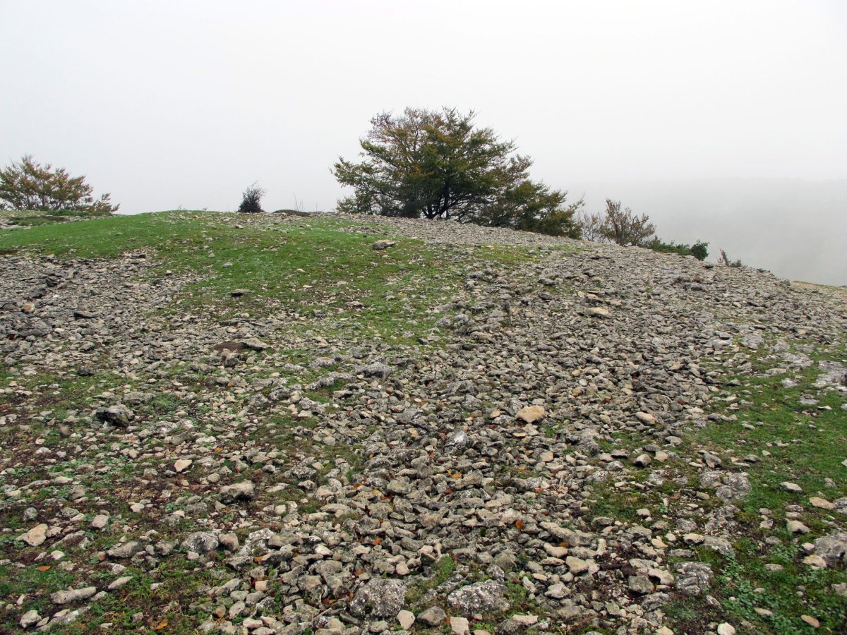 Zurgaina eraztun-tumulia