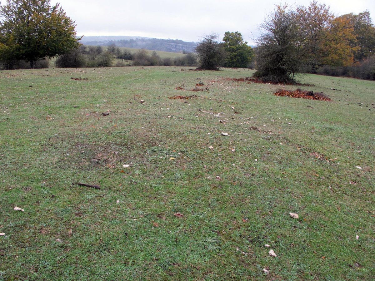 Corral de Celestino tumulua