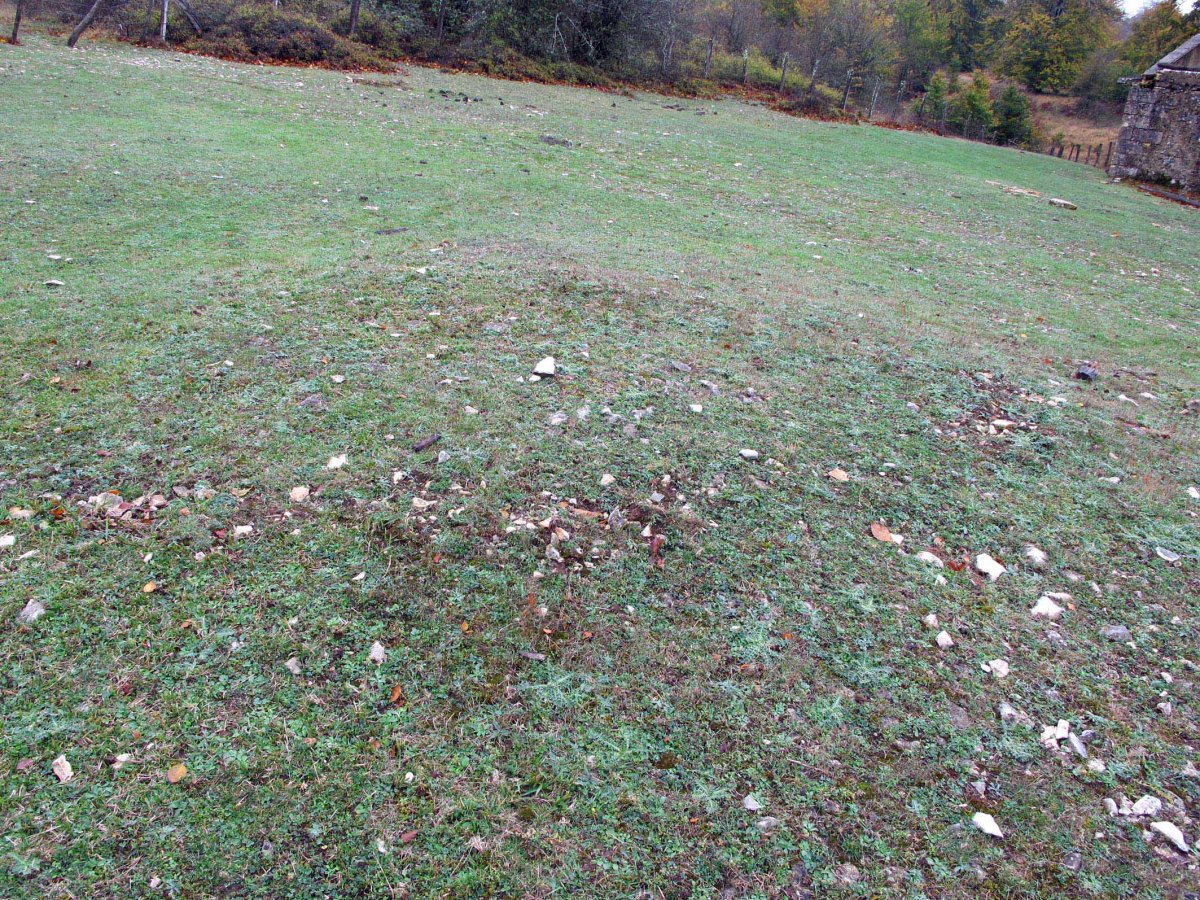 Corral de Celestino tumulua