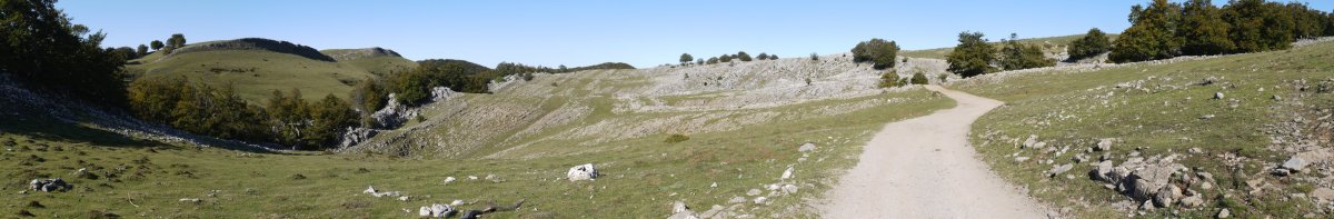 Igaratzako bideko panoramika