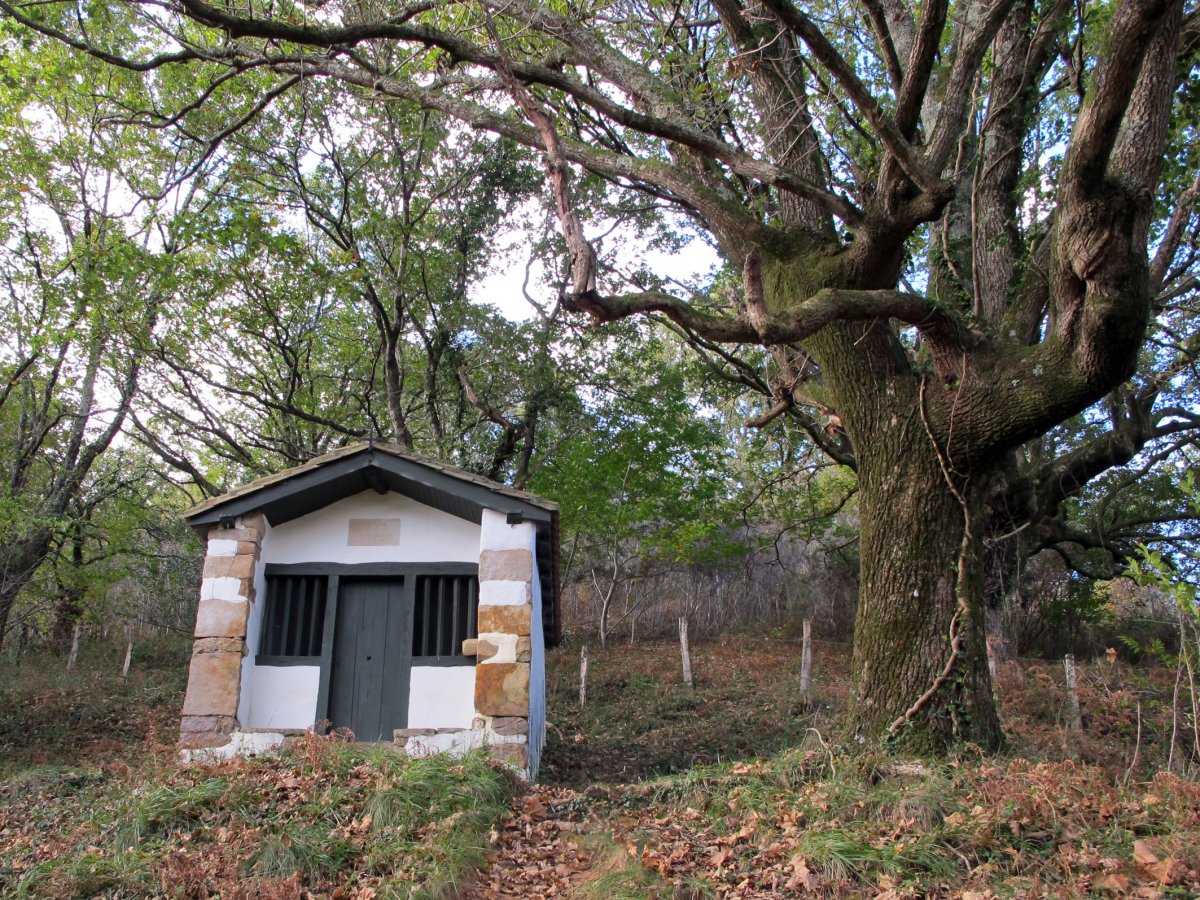 San Anton ermita Sara aldean