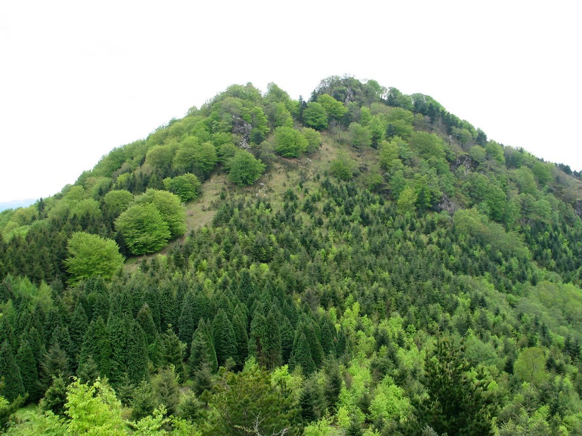 Urdaburu Urdaburu Txikitik