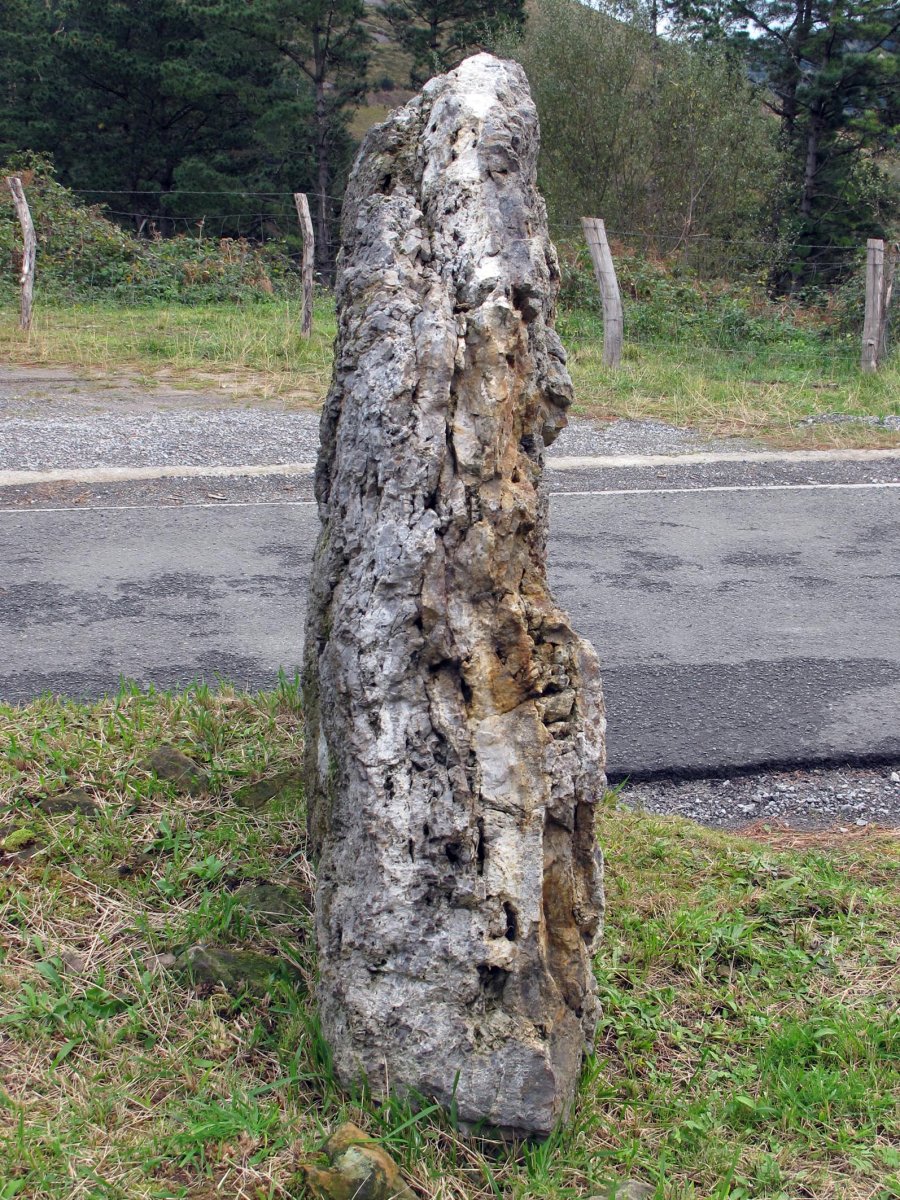 ARLUZE zutarria Zestoa-Endoia bide ertzean