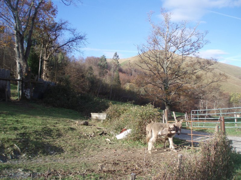 Mehalzurako bidea Oxkax mendatetik