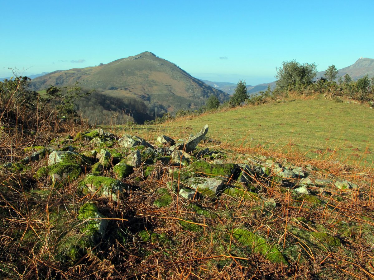 Larria III trikuharria