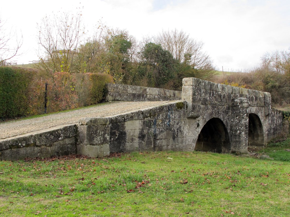 Luzuriaga bidean Zubia