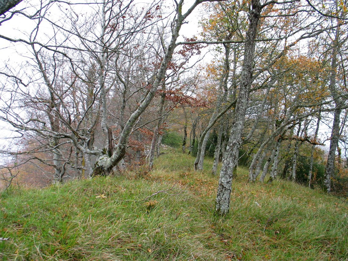 Ekialdeko bizkarreko pasarte bat