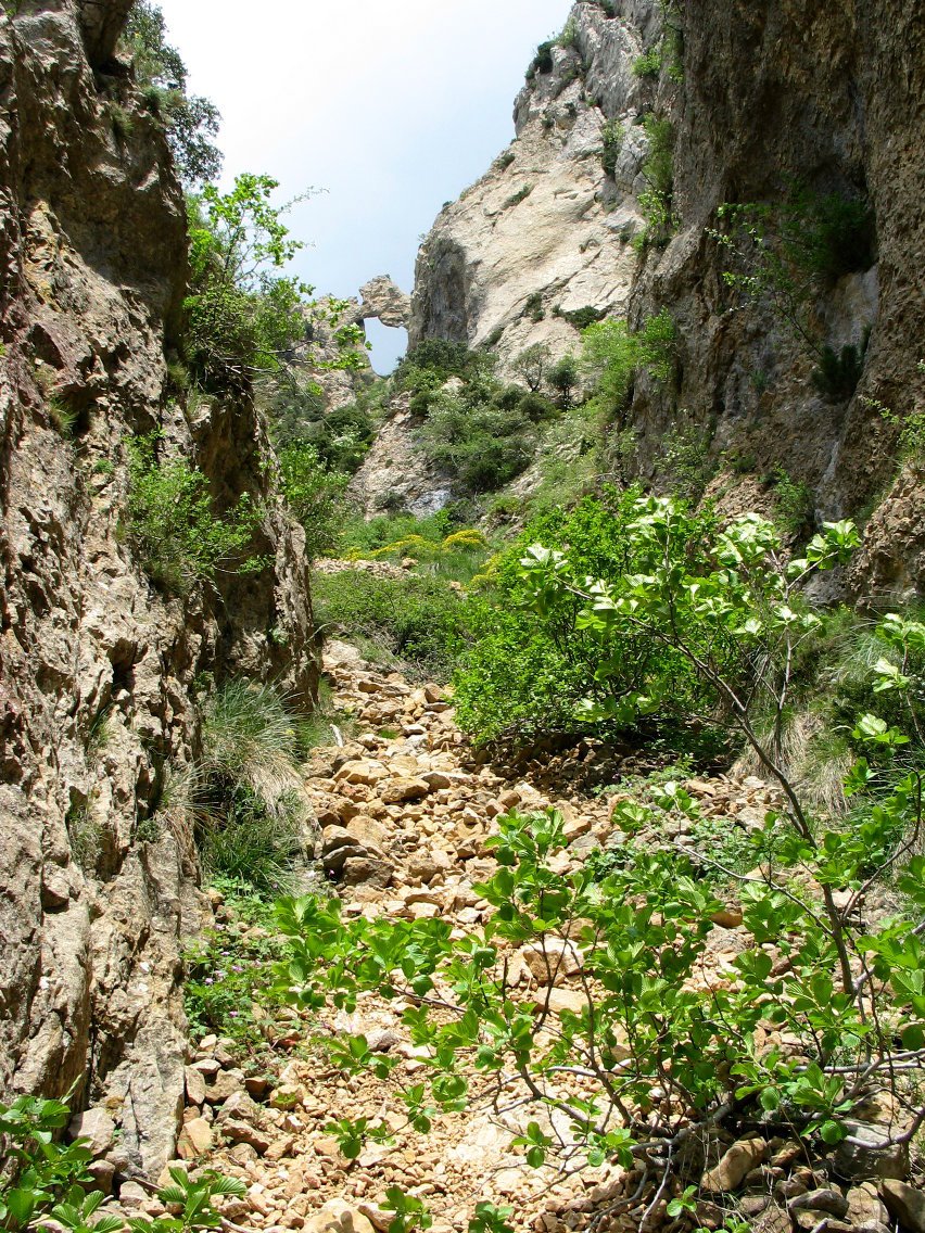 Zaila da Puente del Diablo haitzulora iristea behe aldetik