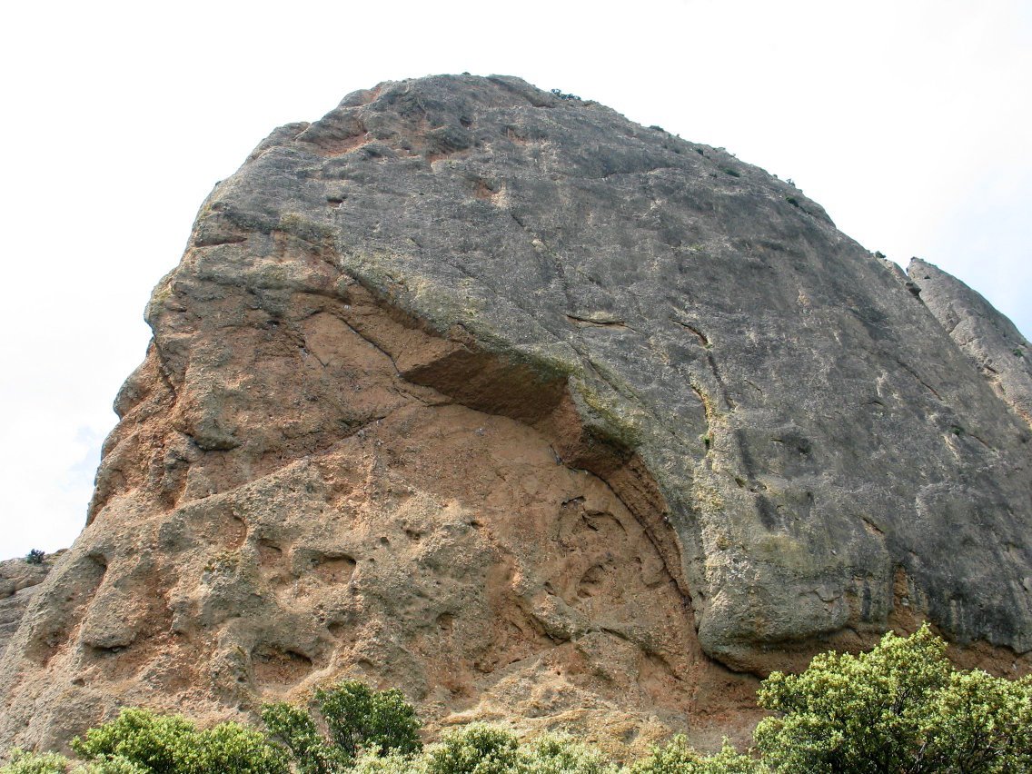 Lehenengo haitza behetik gora begiratuta