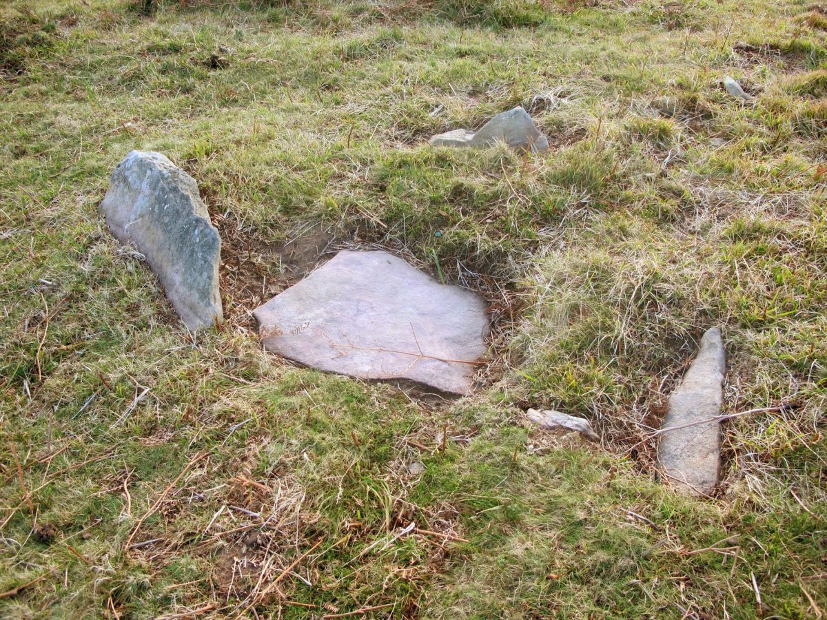 Galbario 4 trikuharria