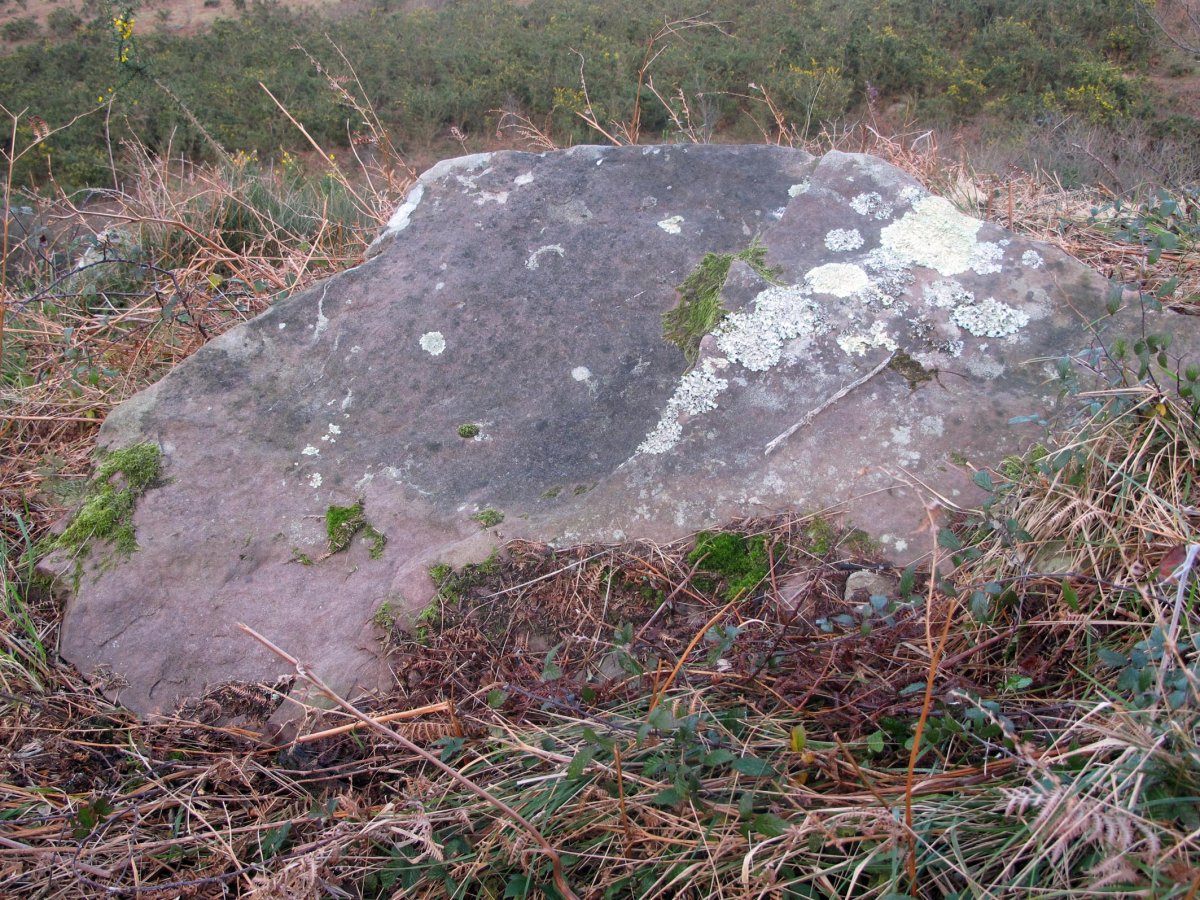 Trikuharriaren tapa J. Blot-en iritziz