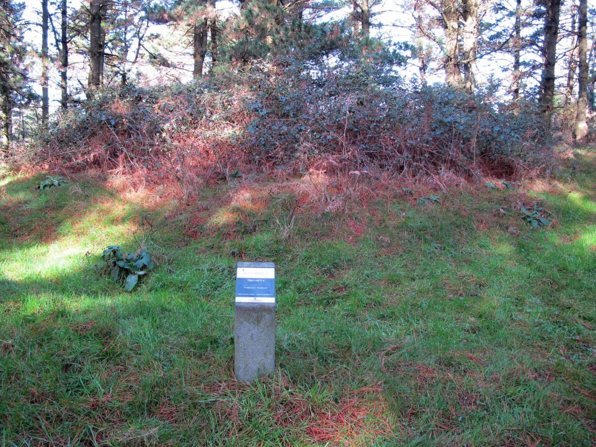 Trikuaizti II tumulua egun sasiak tapatuta