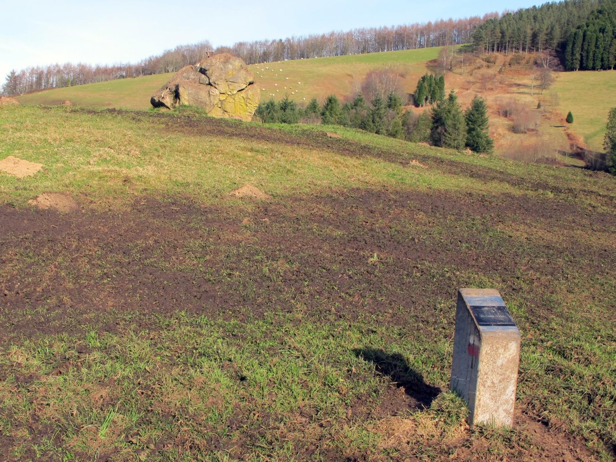 Larrarte trikuharria