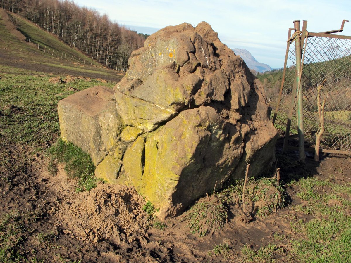 Larrarte trikuharria