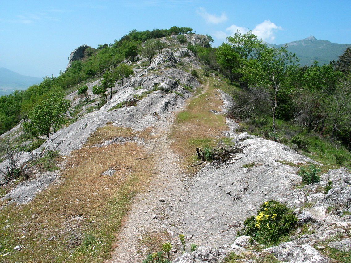 Ekialdeko gandorreko bidea
