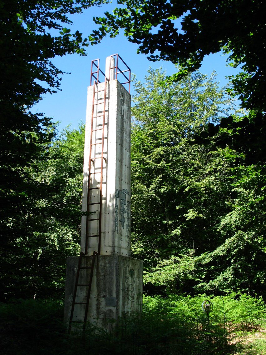 Erpin geodesikoa basoaren erdian