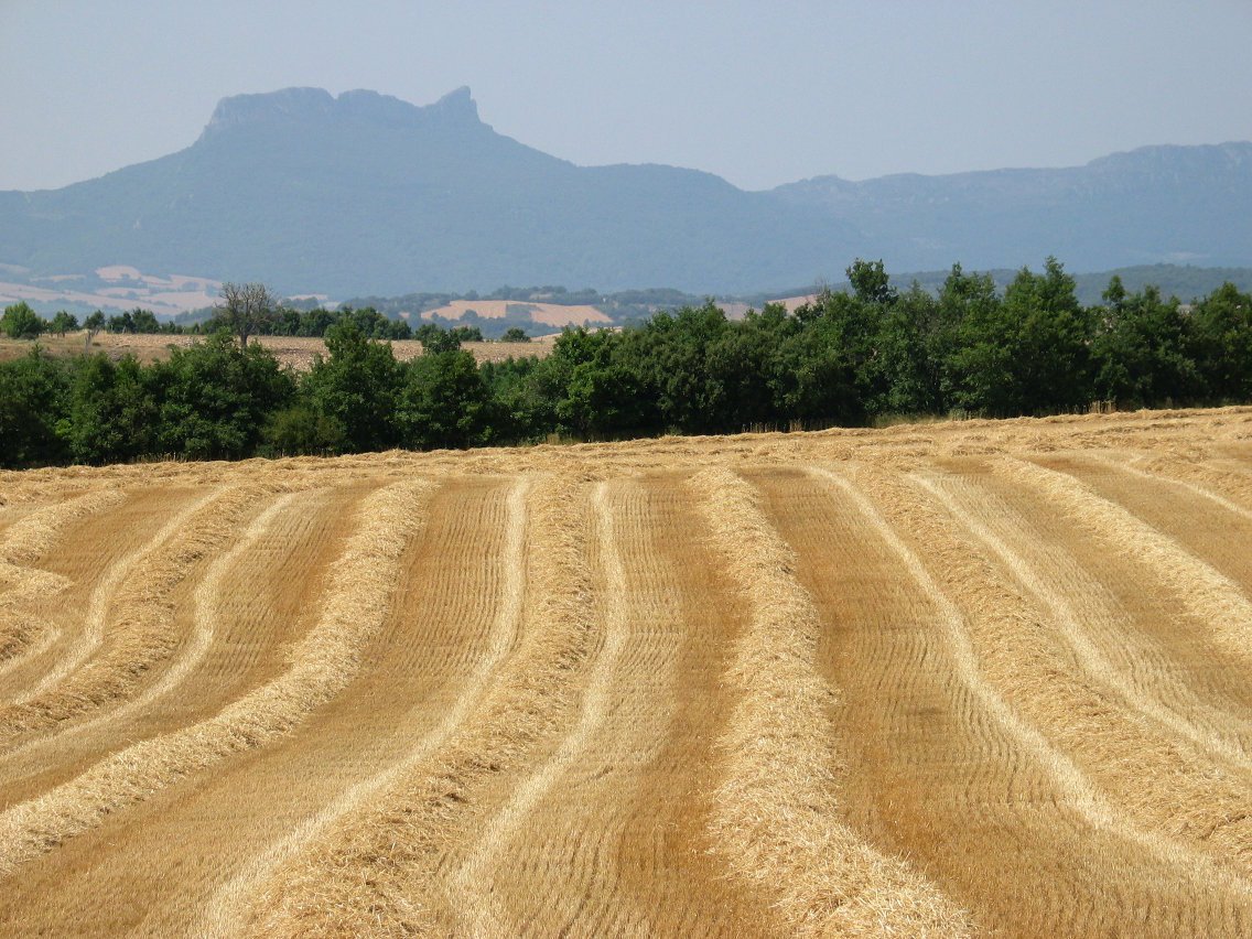 Kanpezu aldeko soroak hondoan La Poblacion haitza dutela