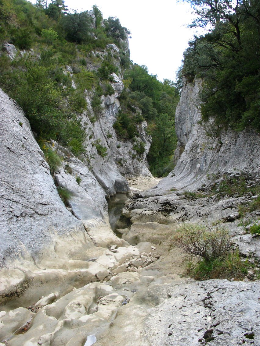 Santa Kolonbako arroila