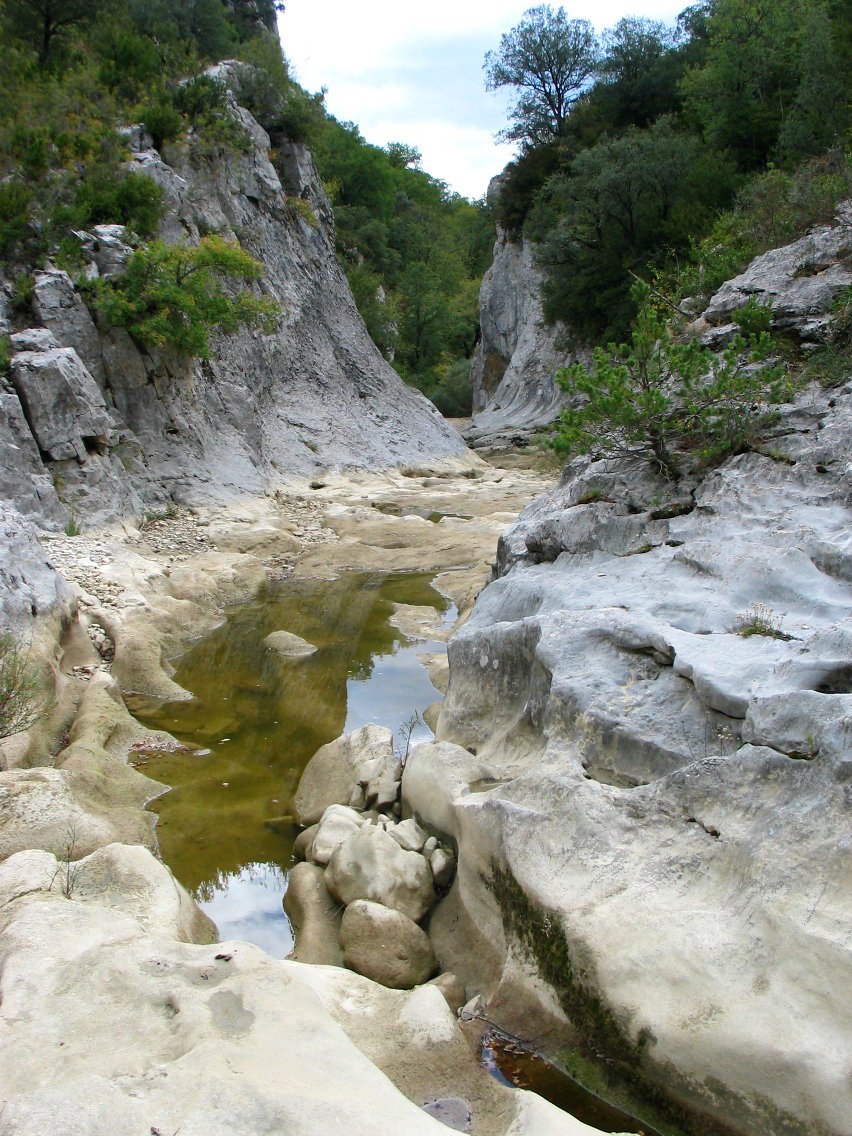 Santa Kolonbako arroila
