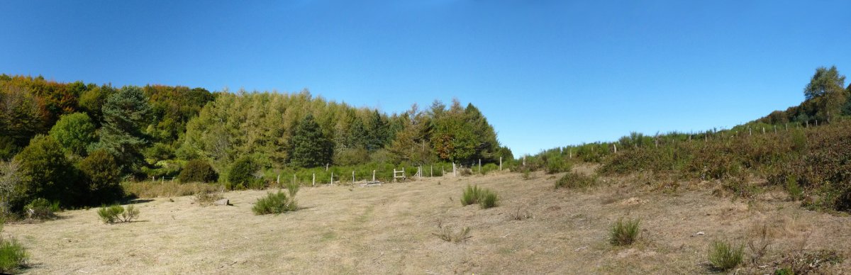 Urrizkain eta Learpuru arteko lepoa