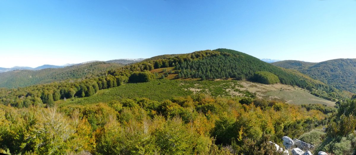 Learpuru Urrizkaingo gailurretik, udazkenean