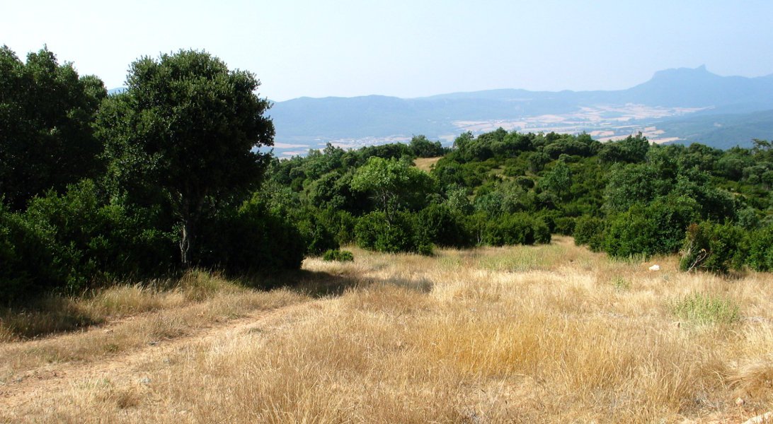 Tontorraren inguruak