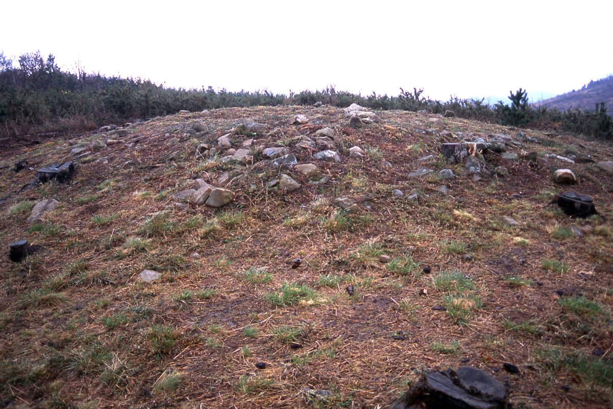 Olaiko Trikuharria 2004-an ateratako diapositiba eskaneatua