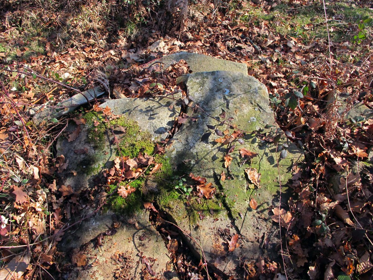 Batzarleku trikuharria