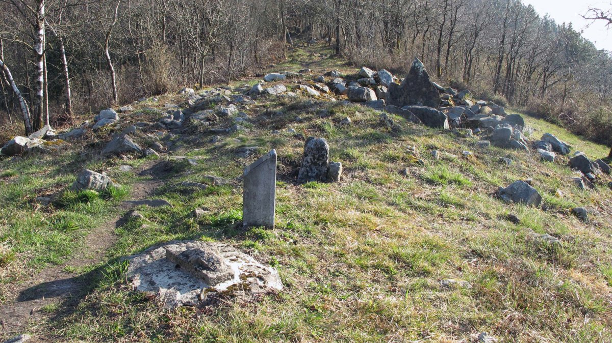 Belkoain trikuharria