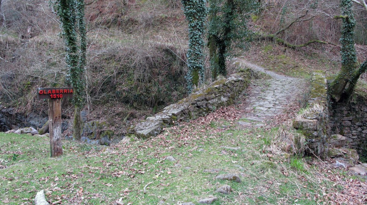 Olaberria burdinolako zubia