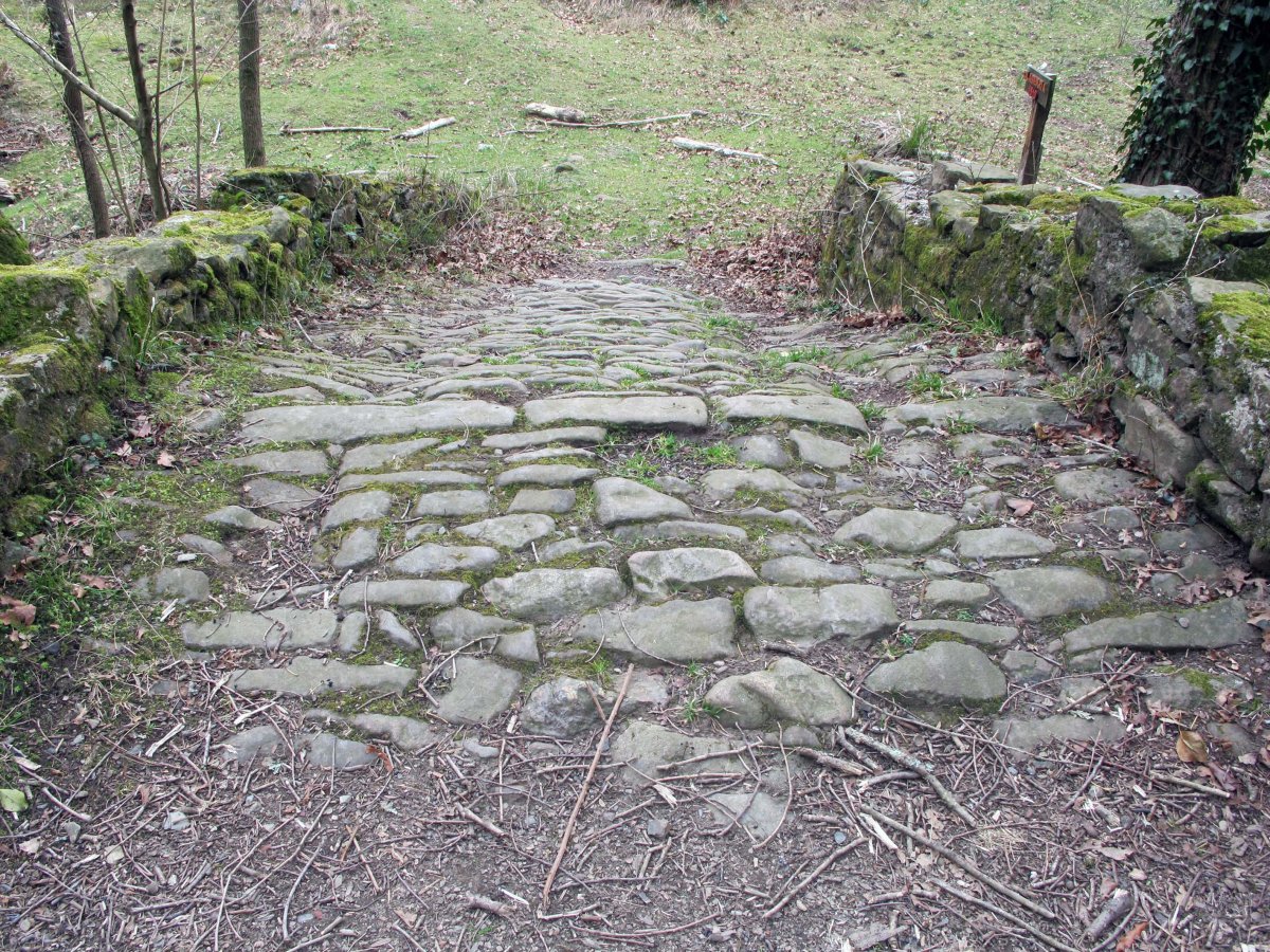 Olaberria burdinolako zubia