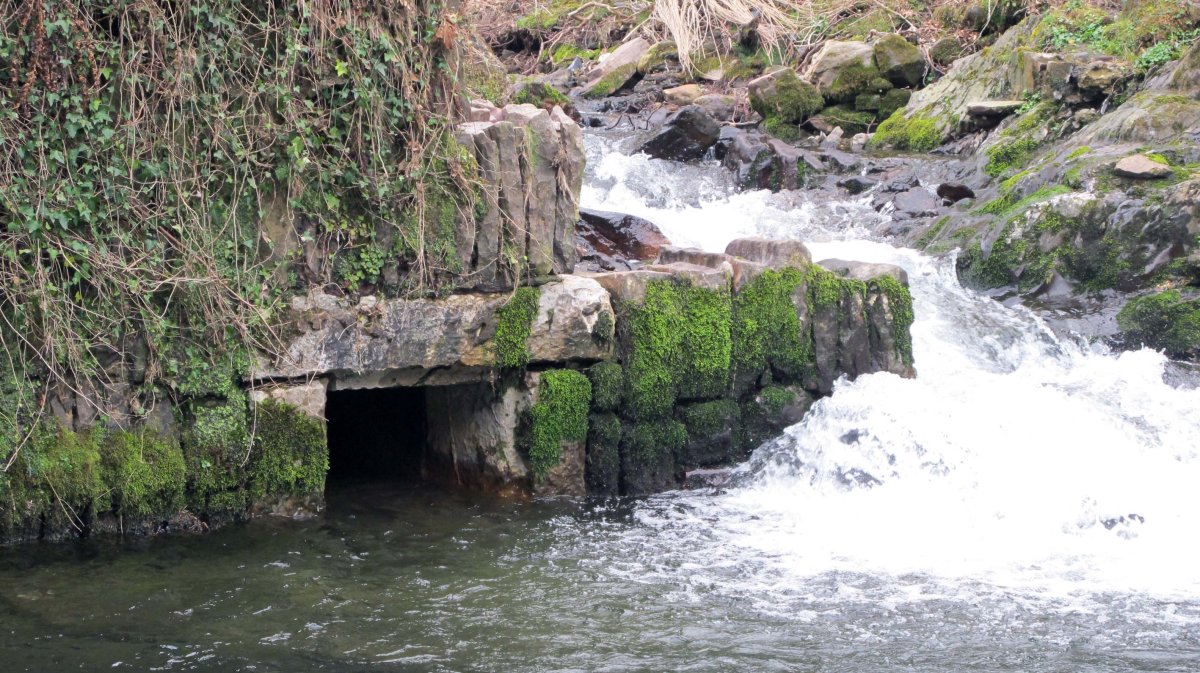 Olaberria burdinolako presa