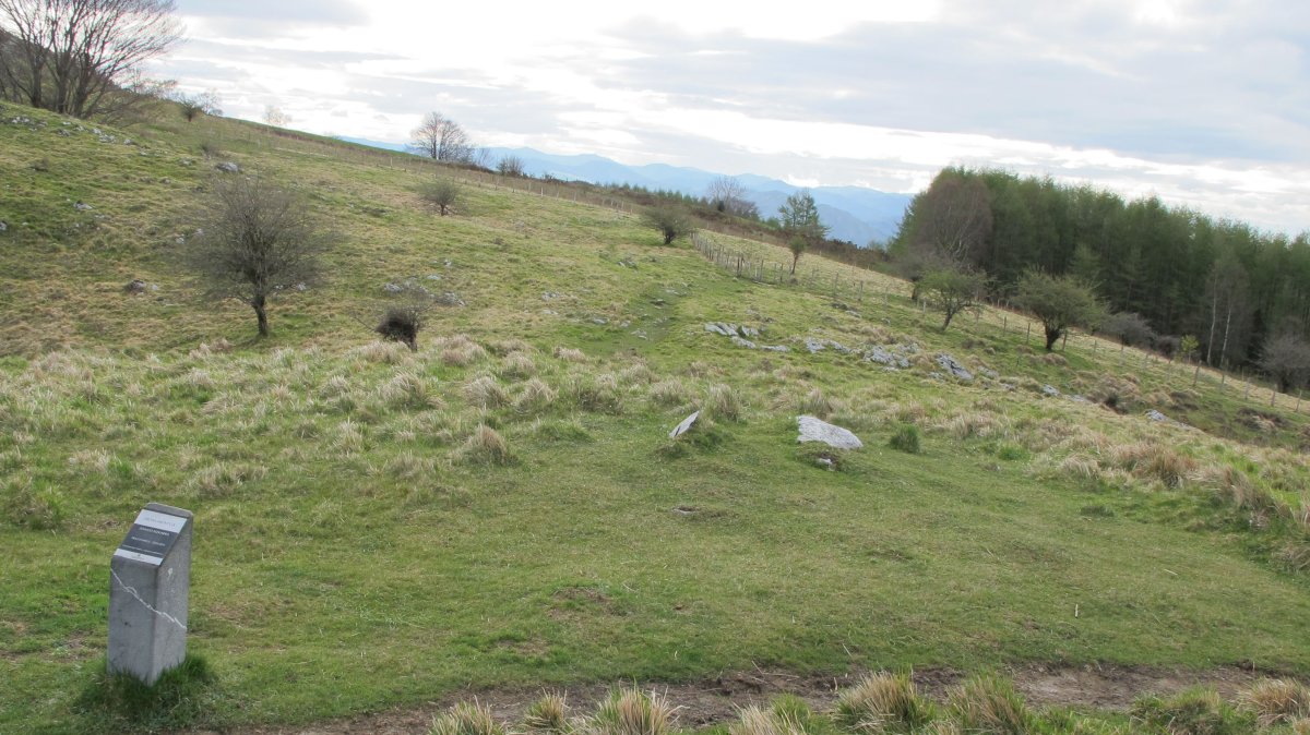 Zaingo Bizkarra trikuharria