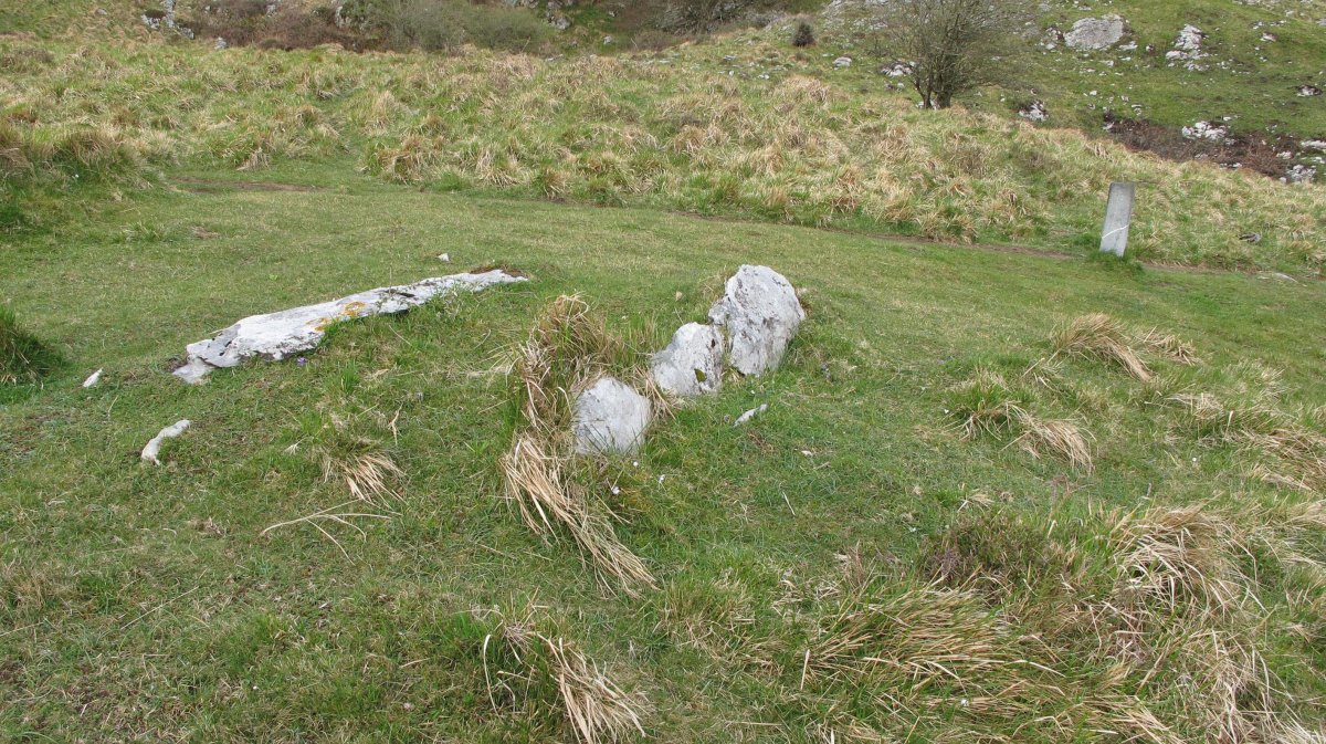 Zaingo Bizkarra trikuharria